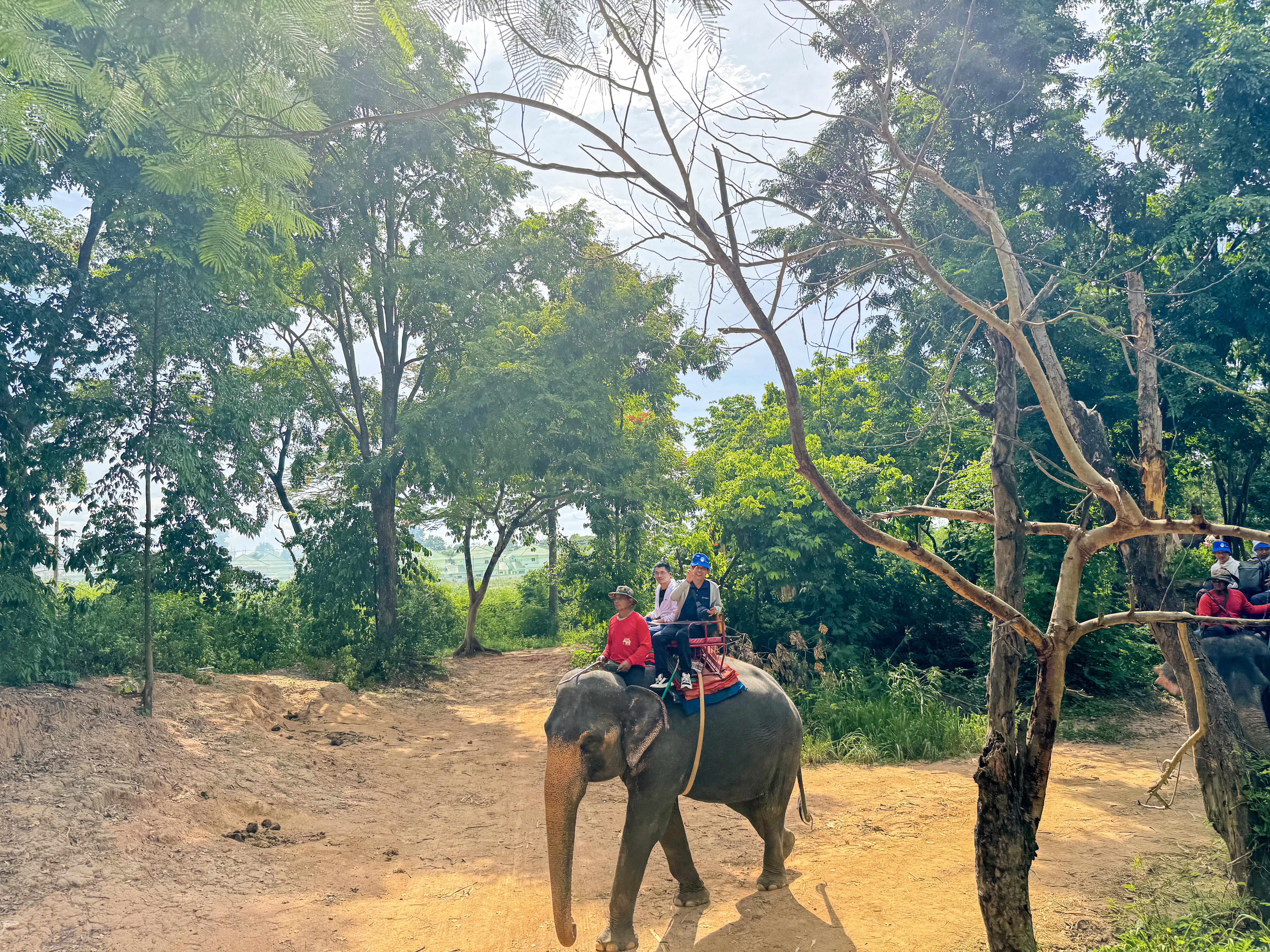 1719557914749528hZYQ.jpg 80aa1932b26920292aa42756db7ba79.jpg