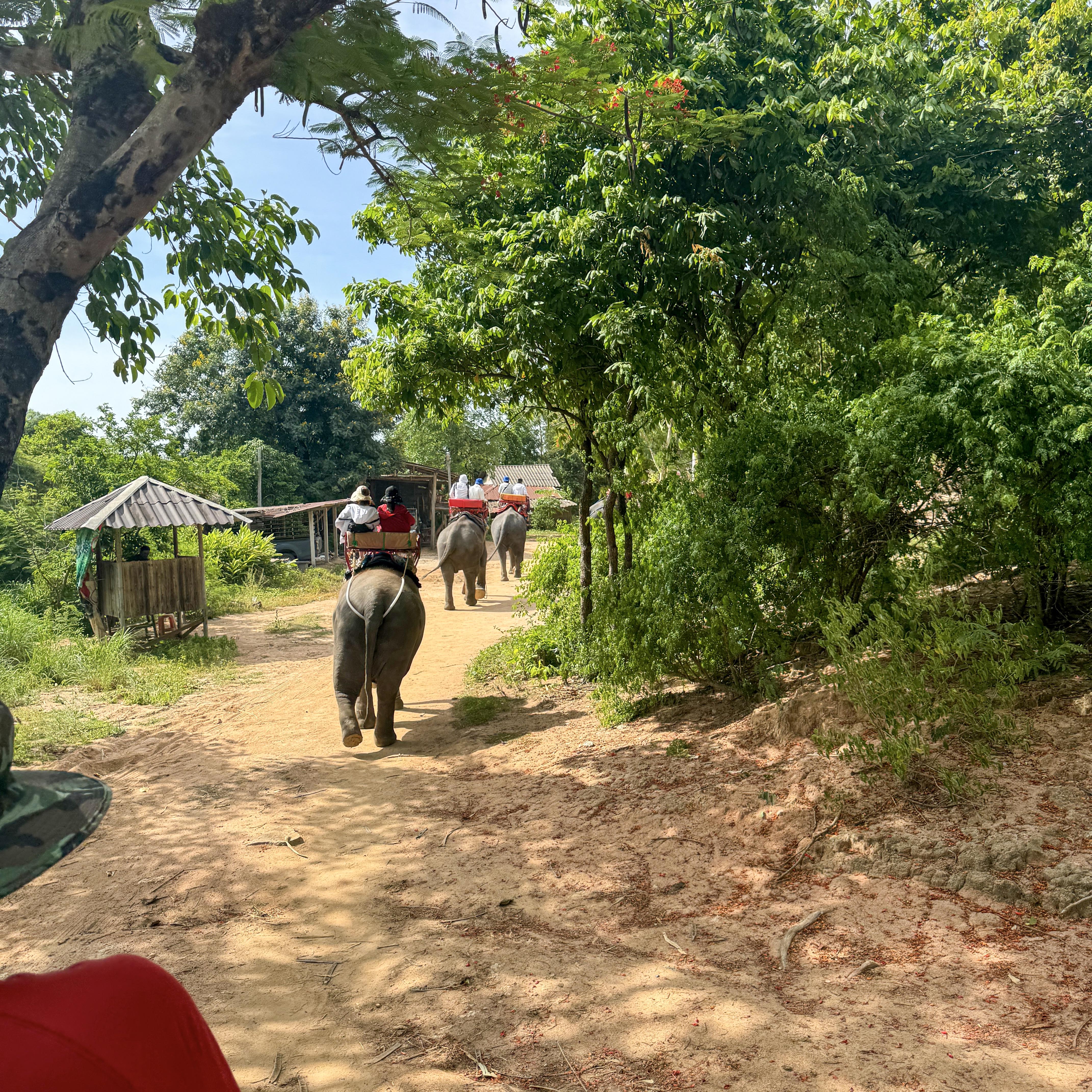 1719557926201549tM4F.jpg 95dd5ea7dab68f29f1c31012d6eb19f.jpg