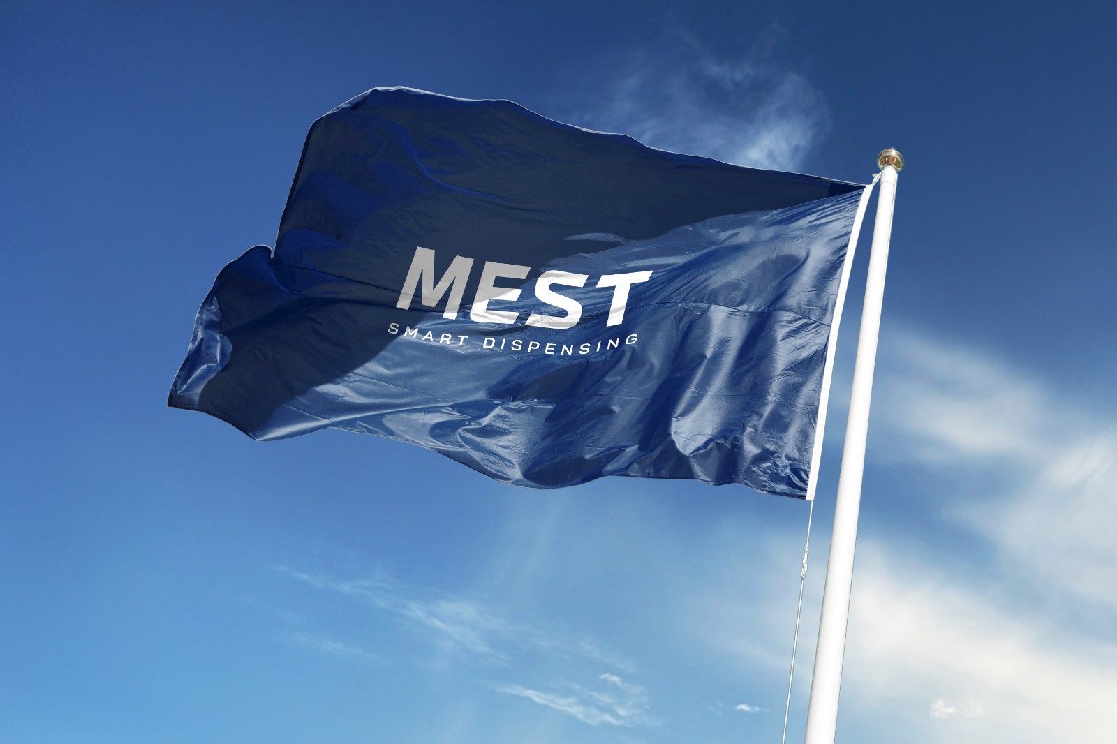 1755494375829985dZKK.jpg 旗幟樣機.jpg